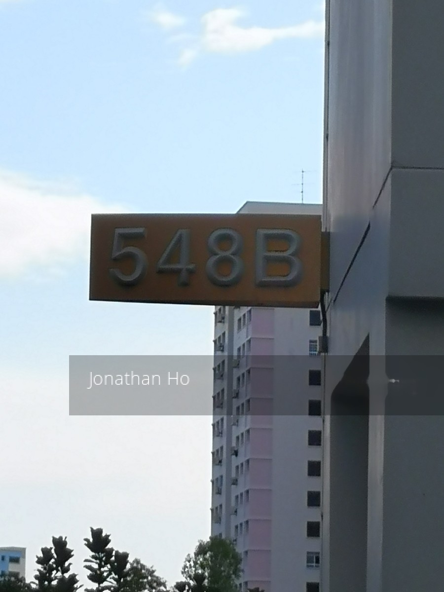 Blk 548B Segar Road (Bukit Panjang), HDB 3 Rooms #210977731